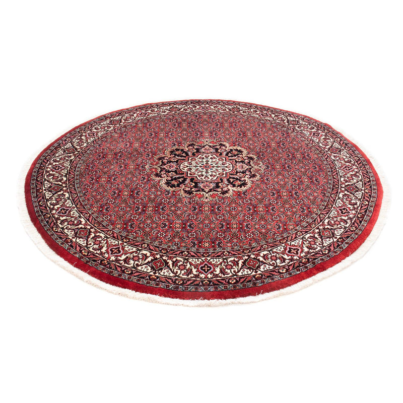 Tappeto Persero - Bidjar rotondo  - 155 x 155 cm - rosso scuro