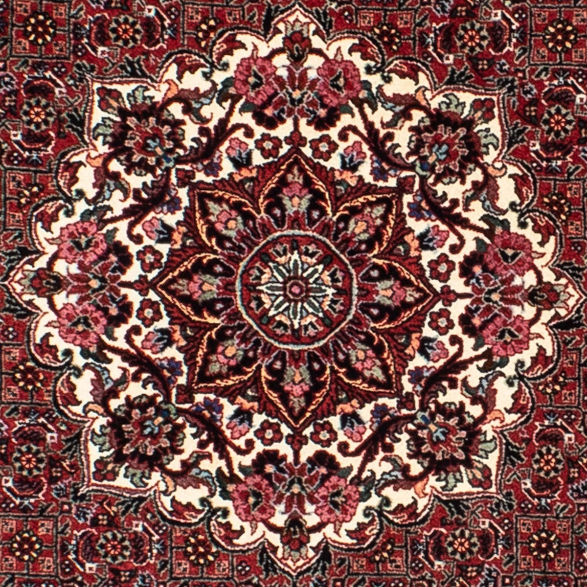 Tappeto Persero - Bidjar rotondo  - 155 x 155 cm - rosso scuro