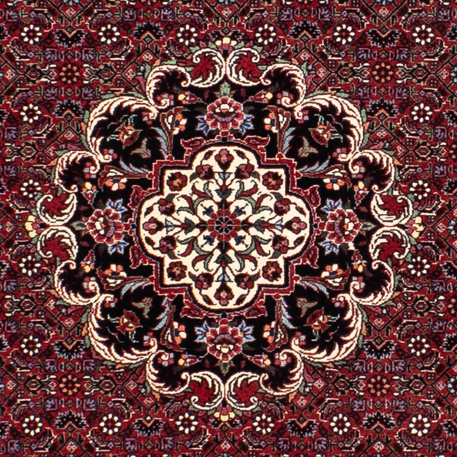 Tappeto Persero - Bidjar rotondo  - 150 x 150 cm - rosso scuro