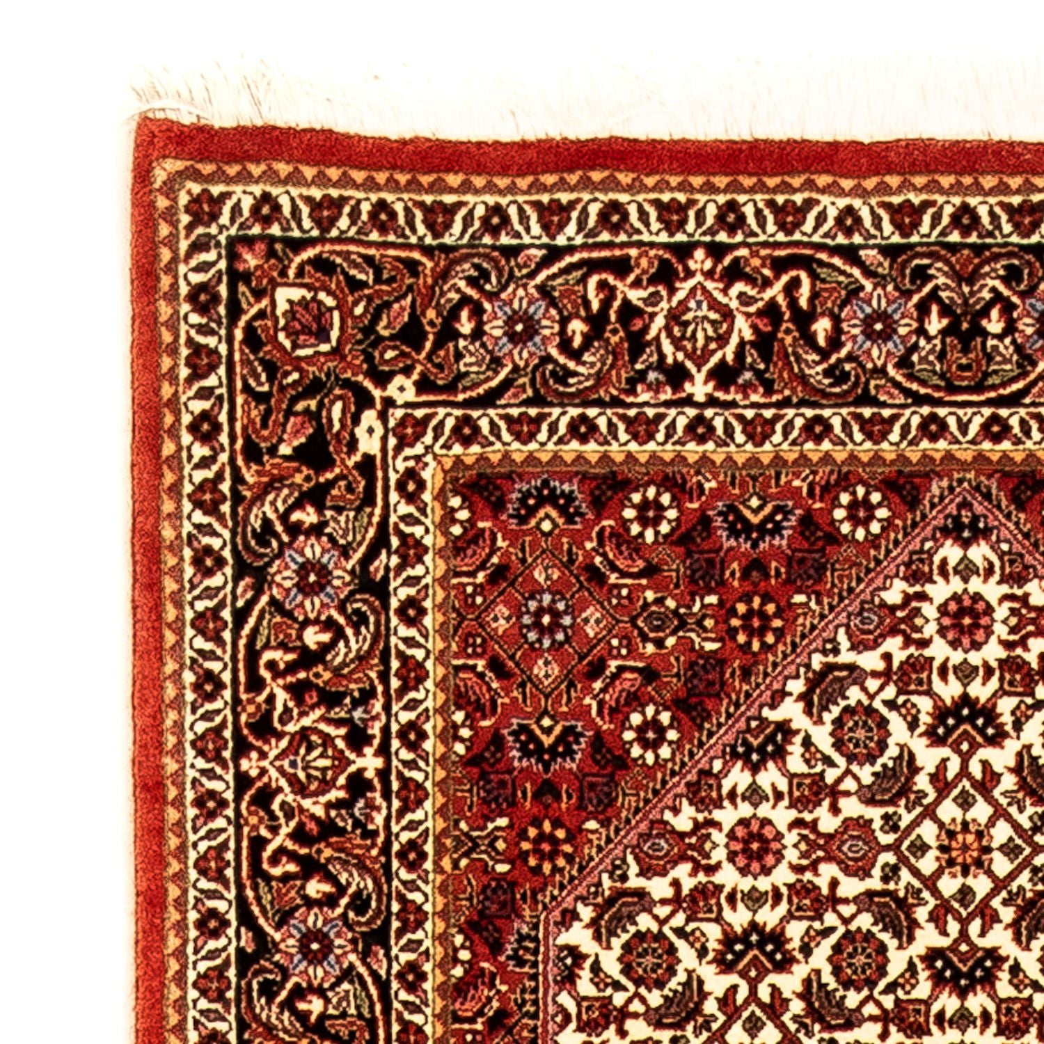 Tappeto corsia Tappeto Persero - Bidjar - 314 x 85 cm - rosso scuro