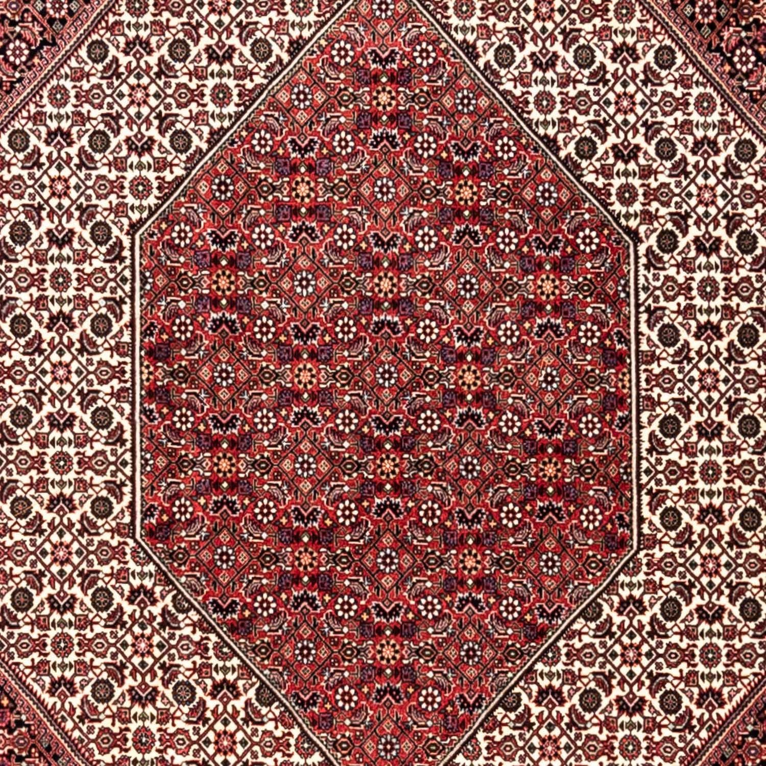 Tappeto Persero - Bidjar - 353 x 250 cm - rosso