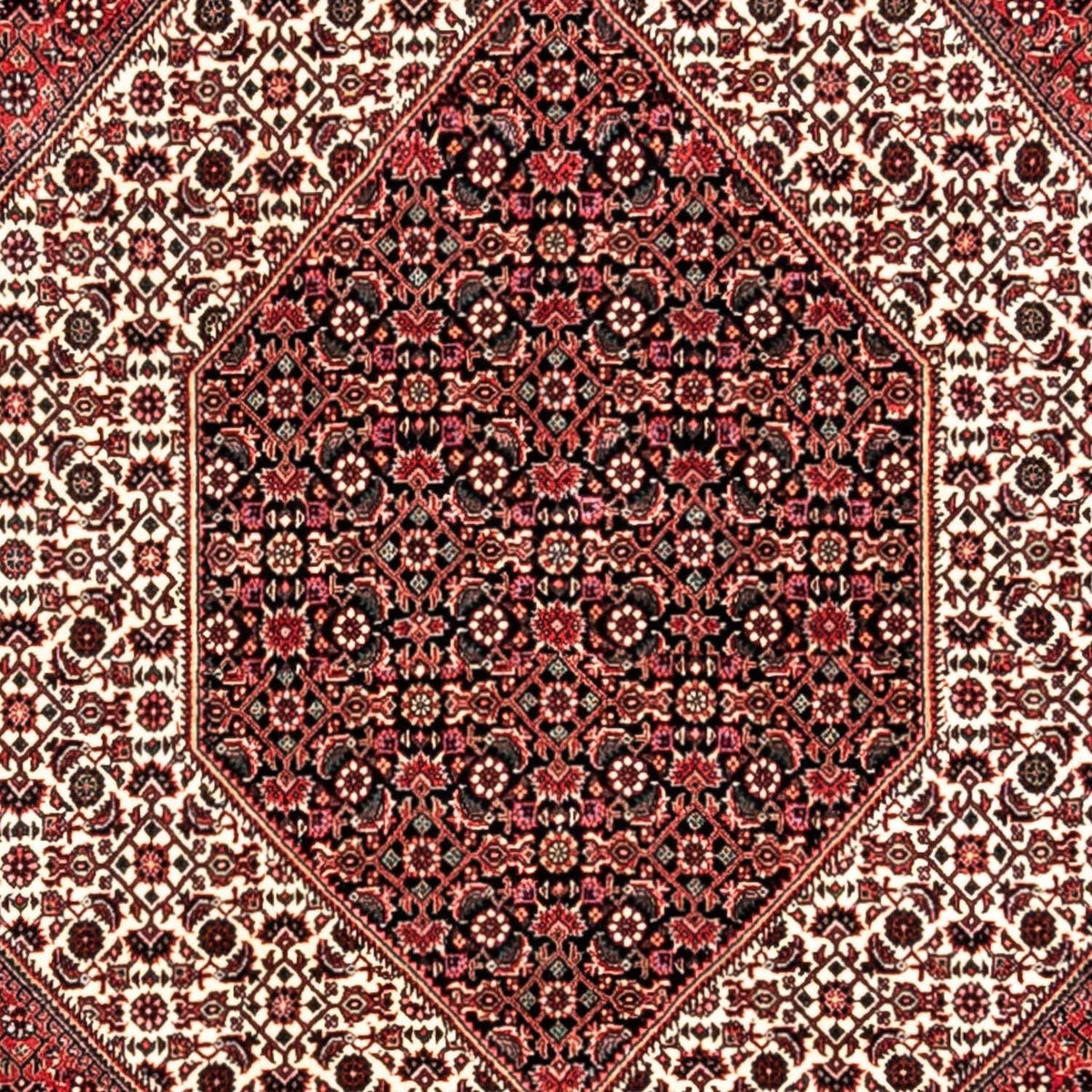Tappeto Persero - Bidjar - 350 x 252 cm - rosso
