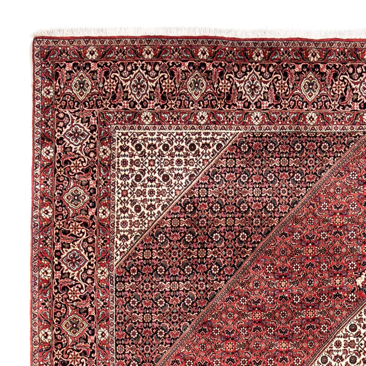 Tappeto Persero - Bidjar - 350 x 252 cm - rosso