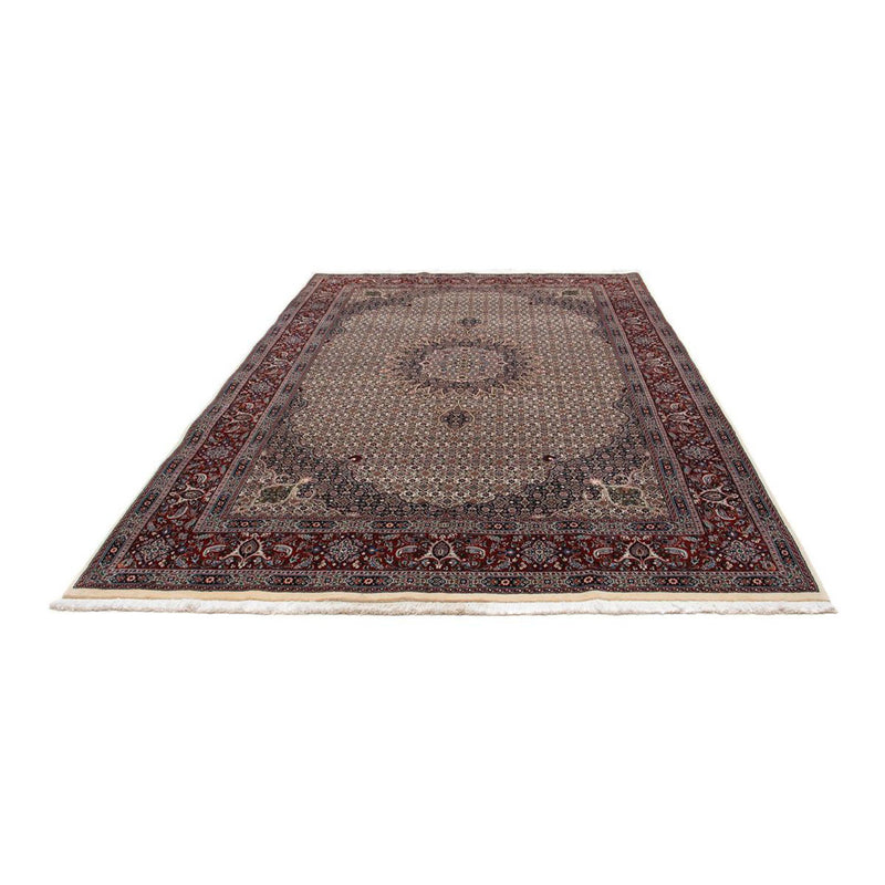 Tappeto Persero - Classico - 296 x 203 cm - beige