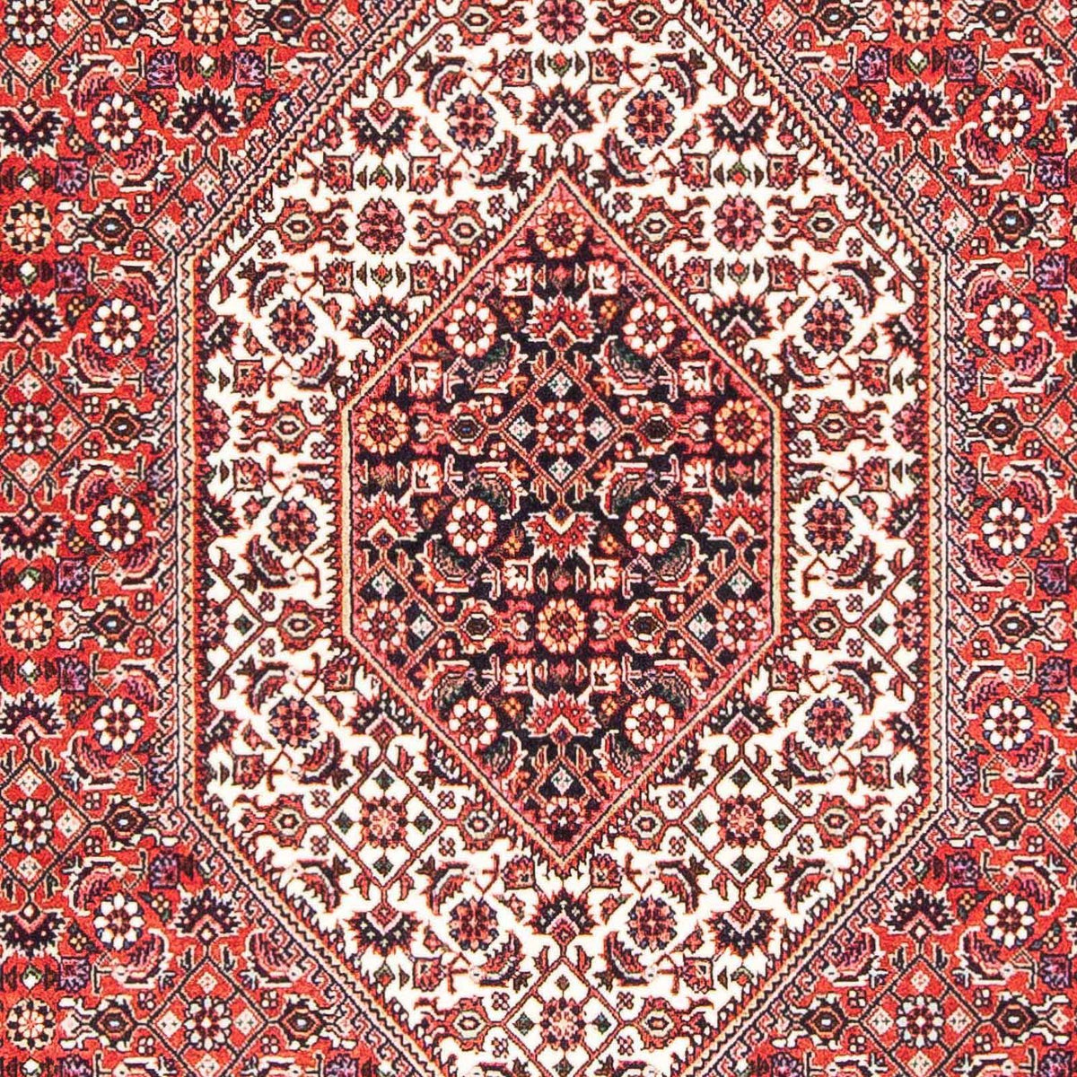 Tappeto Persero - Bidjar - 181 x 108 cm - rosso