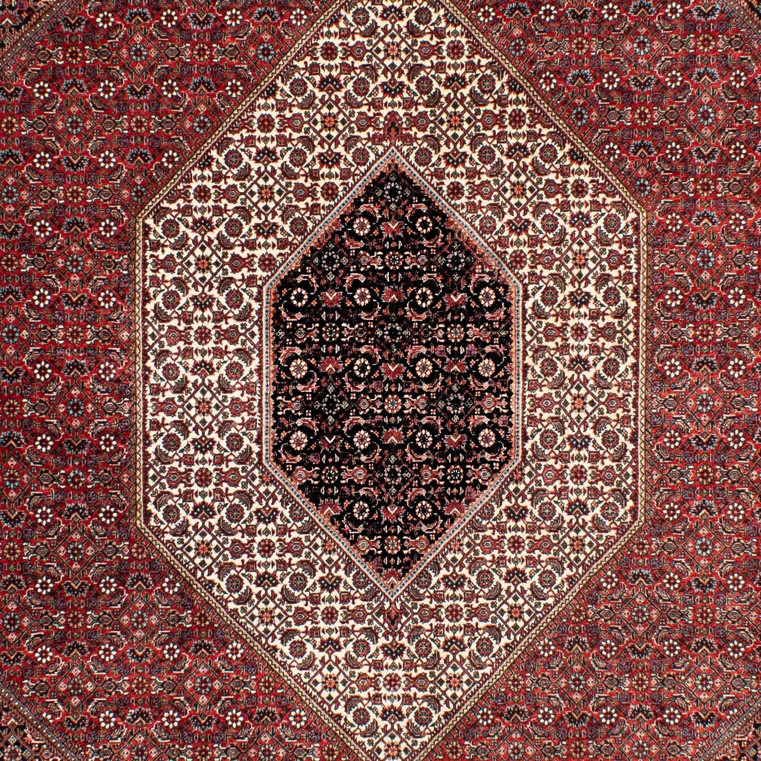 Tappeto Persero - Bidjar - 303 x 203 cm - rosso
