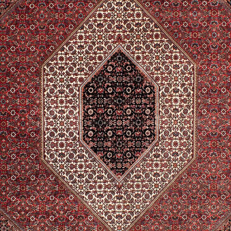 Tappeto Persero - Bidjar - 303 x 203 cm - rosso