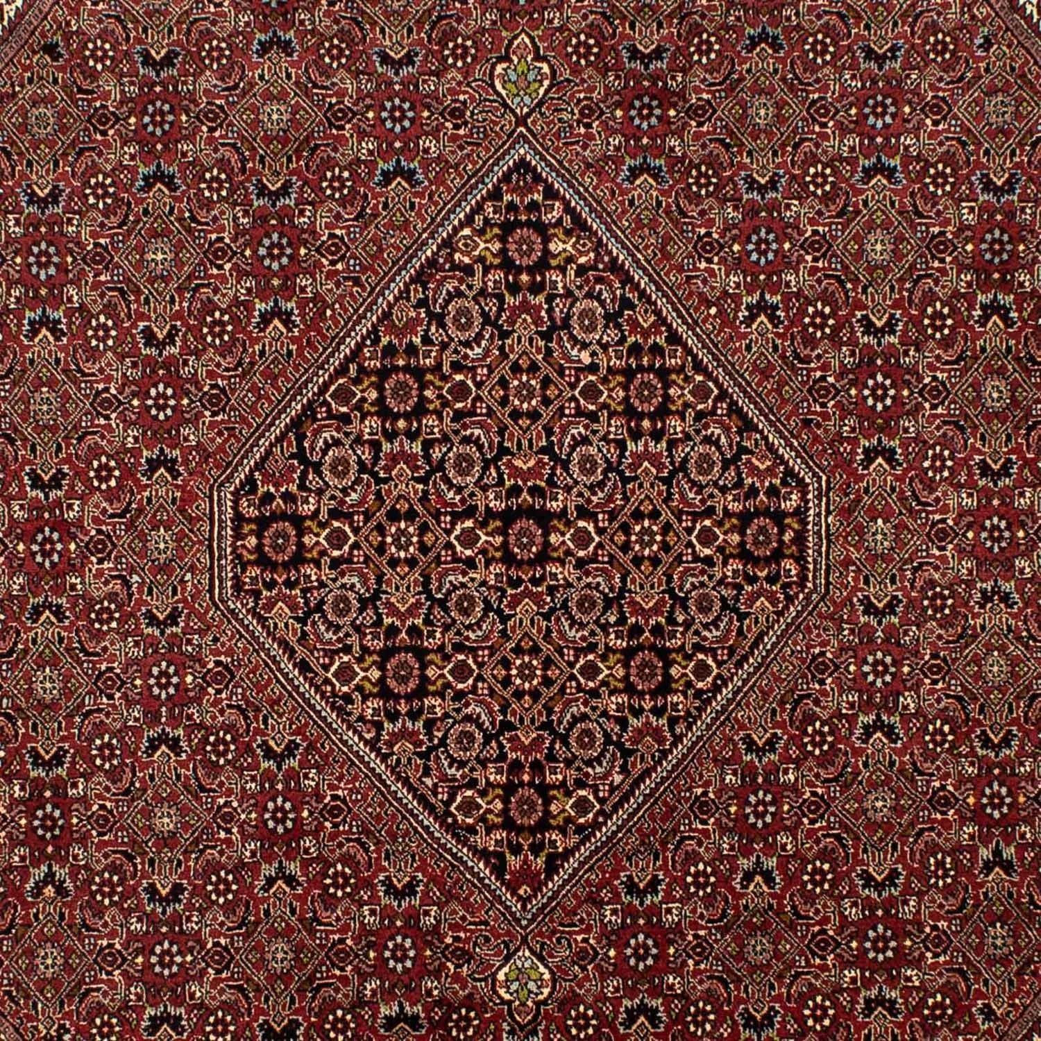 Tappeto Persero - Bidjar - 295 x 200 cm - marrone