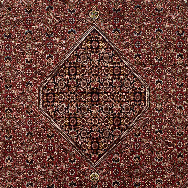 Tappeto Persero - Bidjar - 295 x 200 cm - marrone