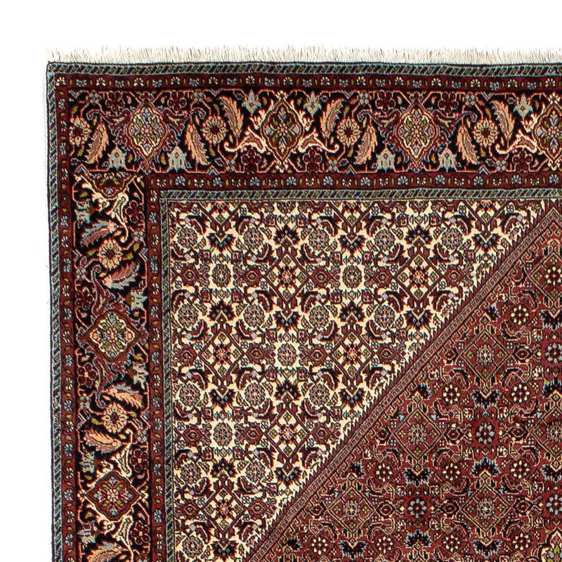 Tappeto Persero - Bidjar - 295 x 200 cm - marrone