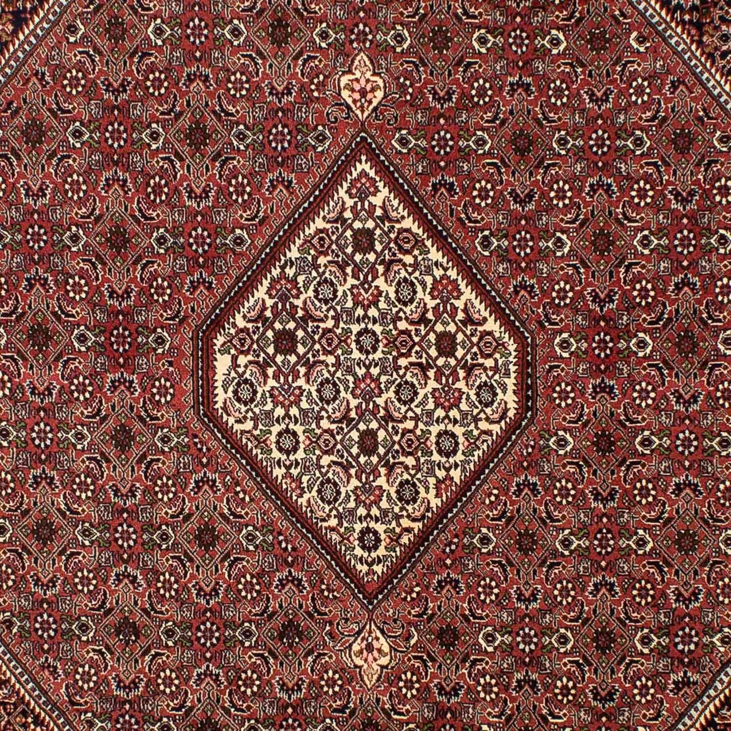 Tappeto Persero - Bidjar - 298 x 200 cm - marrone