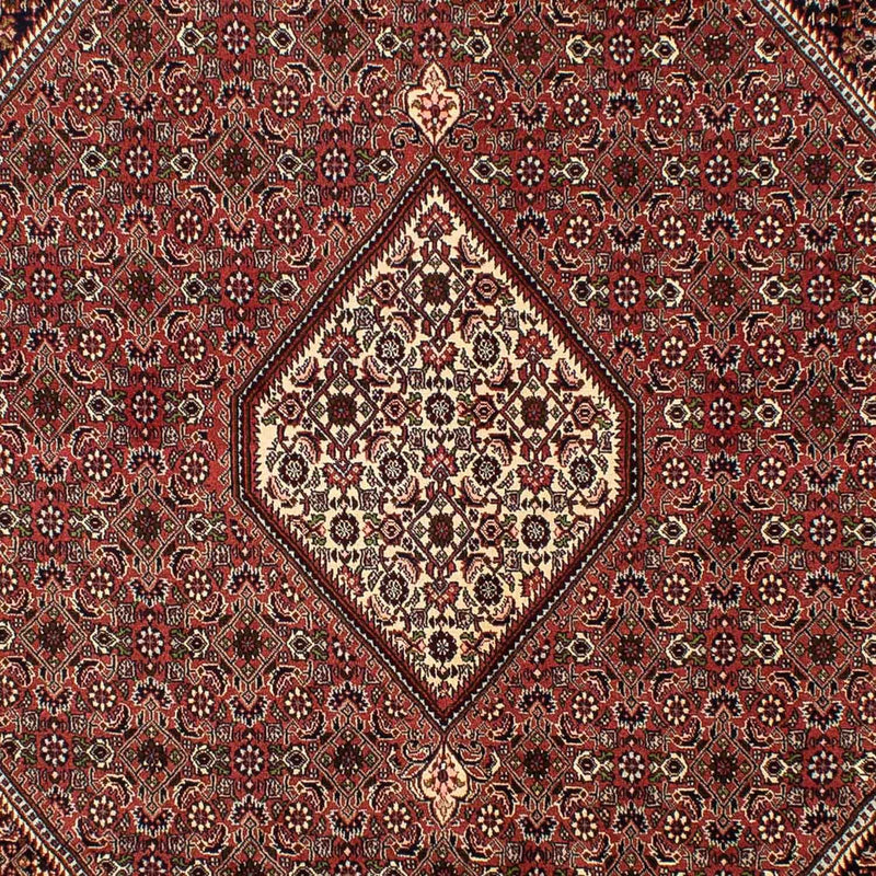 Tappeto Persero - Bidjar - 298 x 200 cm - marrone