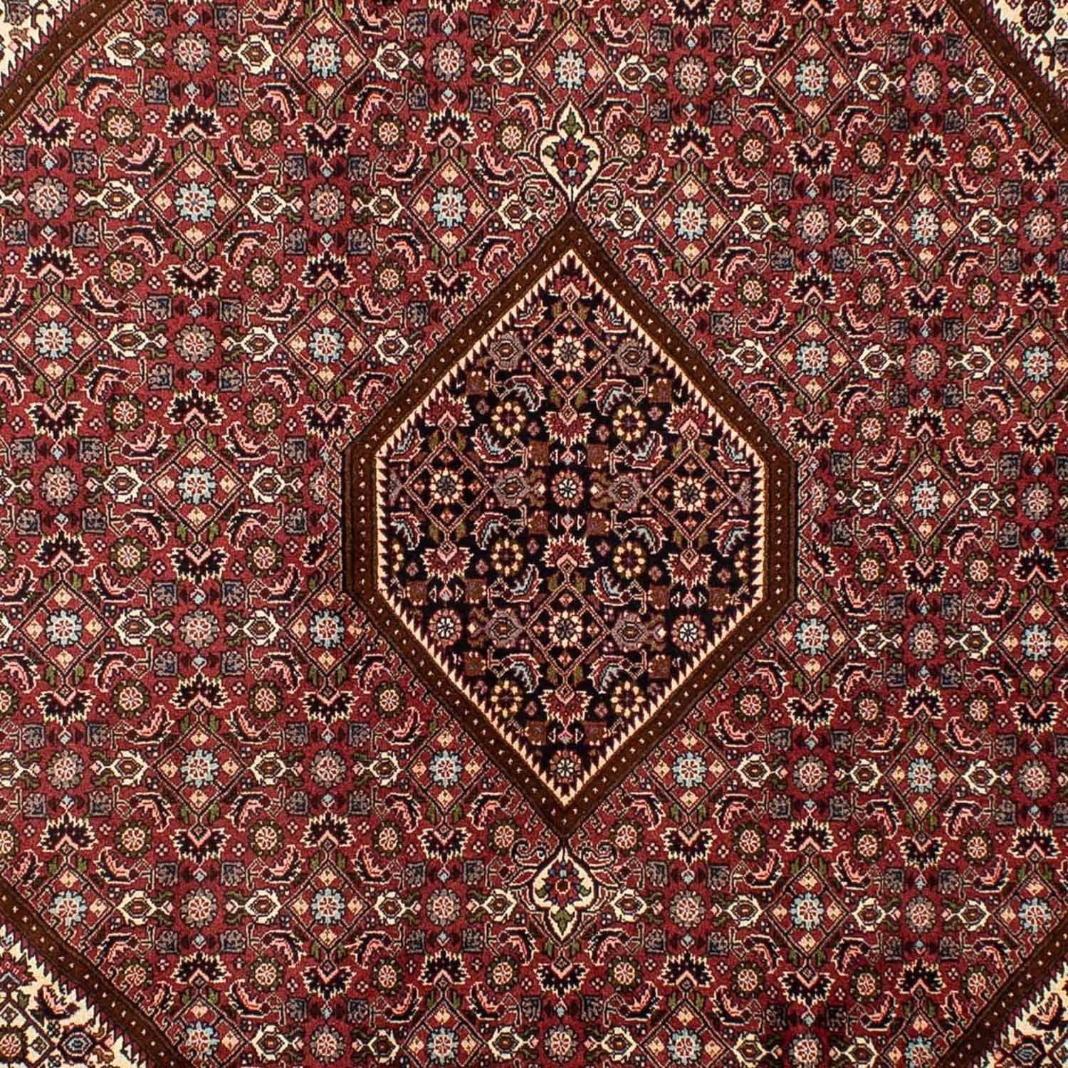 Tappeto Persero - Bidjar - 292 x 200 cm - marrone