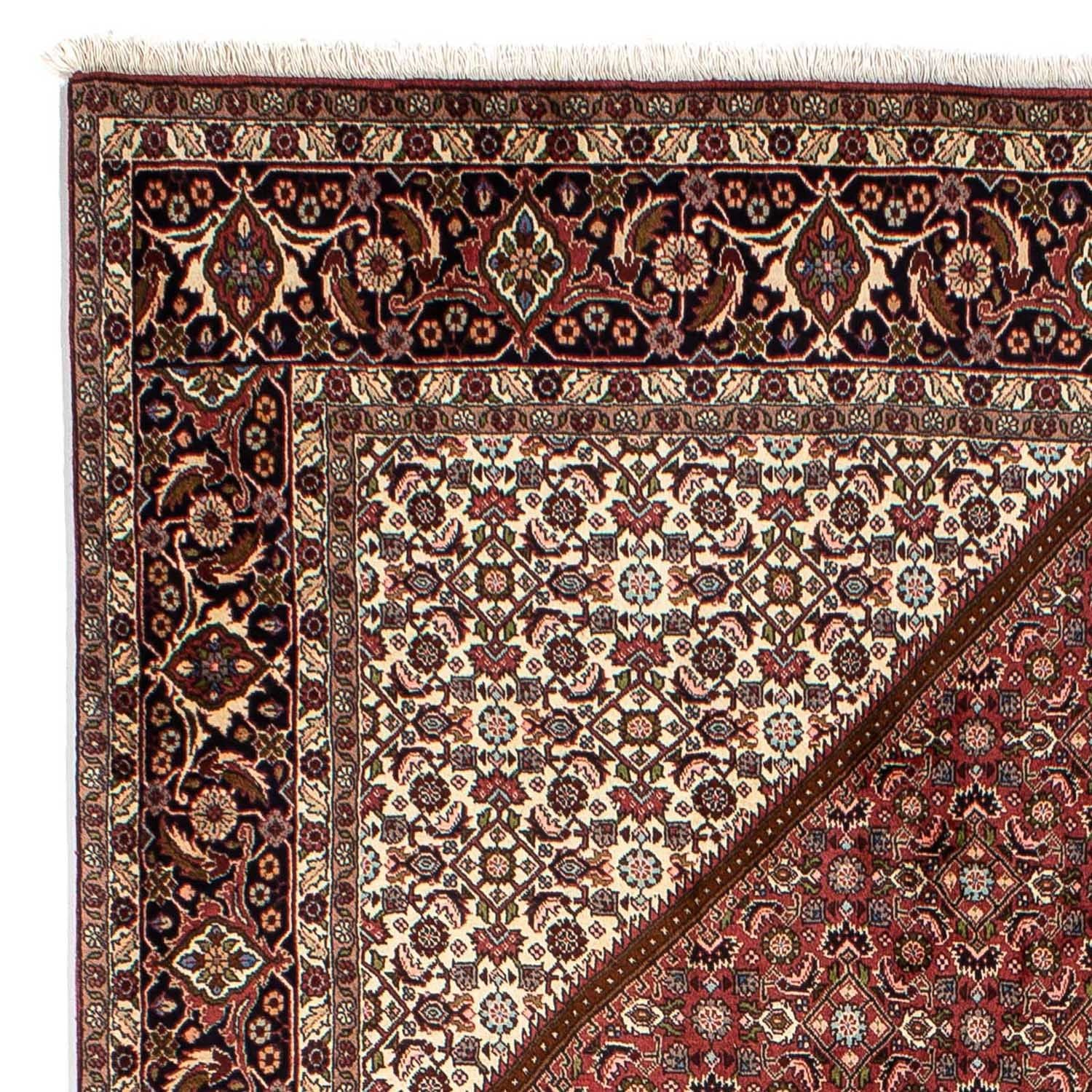 Tappeto Persero - Bidjar - 292 x 200 cm - marrone