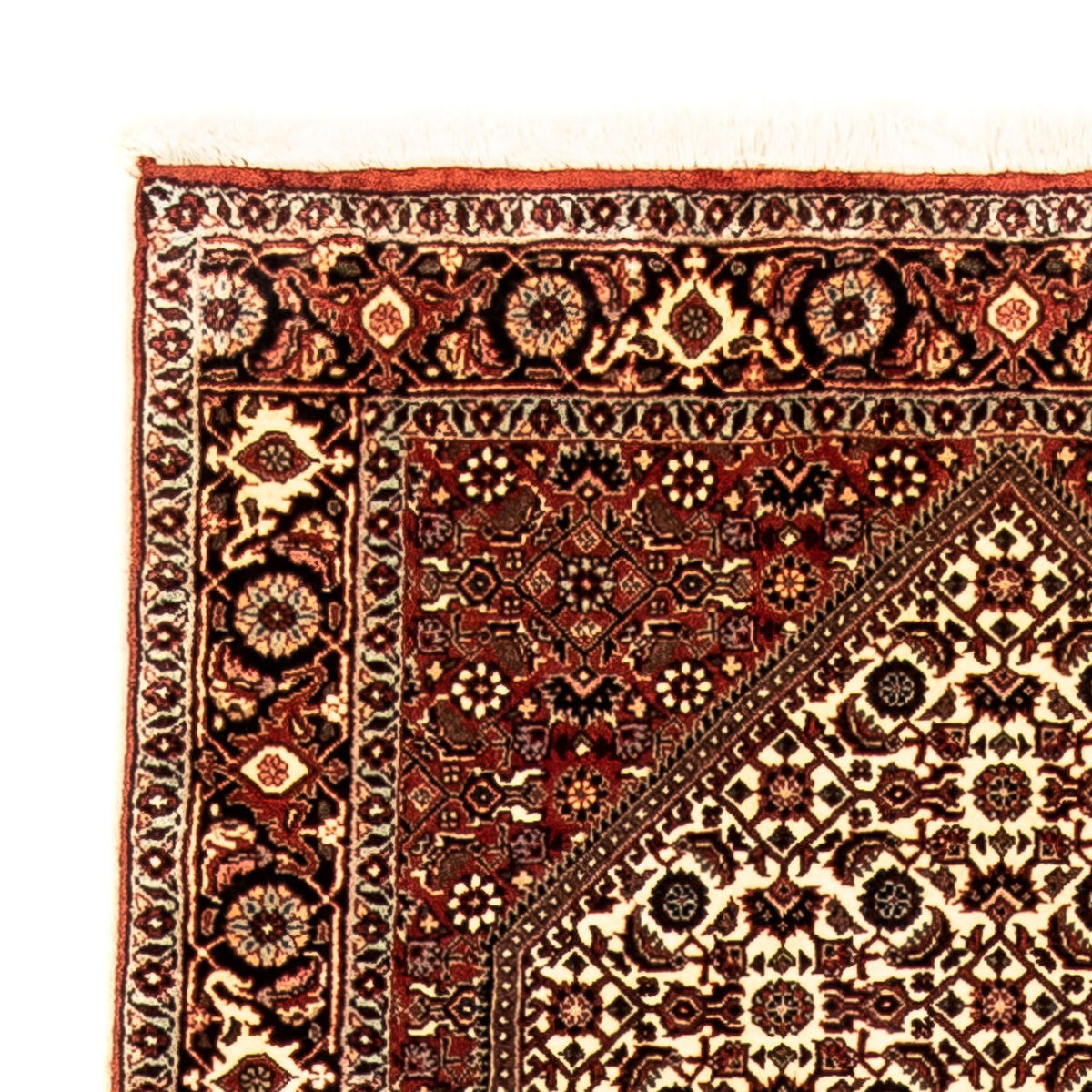 Tappeto corsia Tappeto Persero - Bidjar - 289 x 86 cm - multicolore