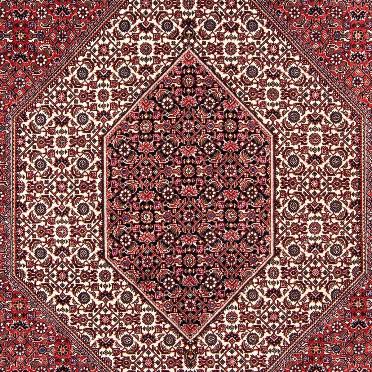 Tappeto Persero - Bidjar - 237 x 172 cm - rosso chiaro