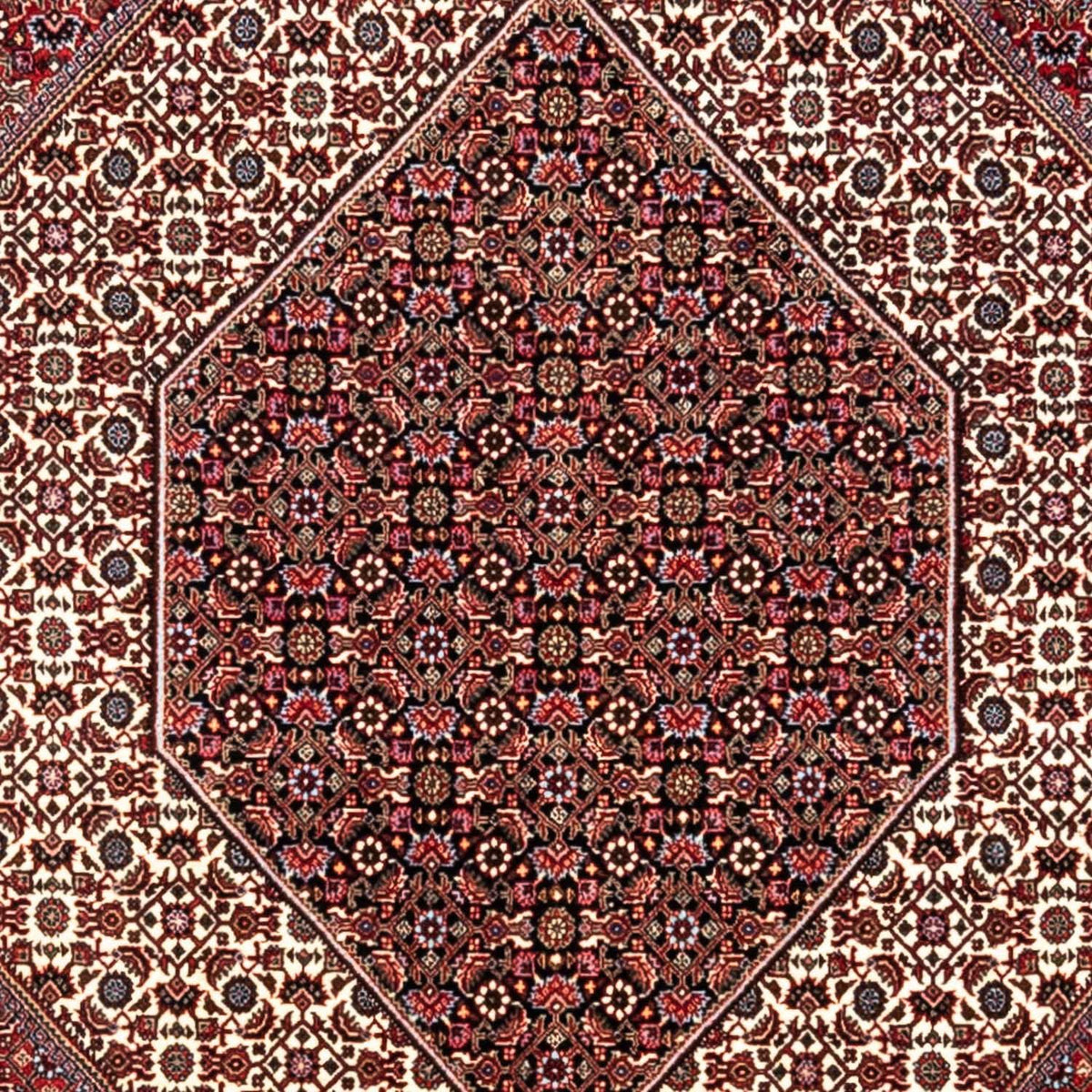 Tappeto Persero - Bidjar - 352 x 254 cm - rosso
