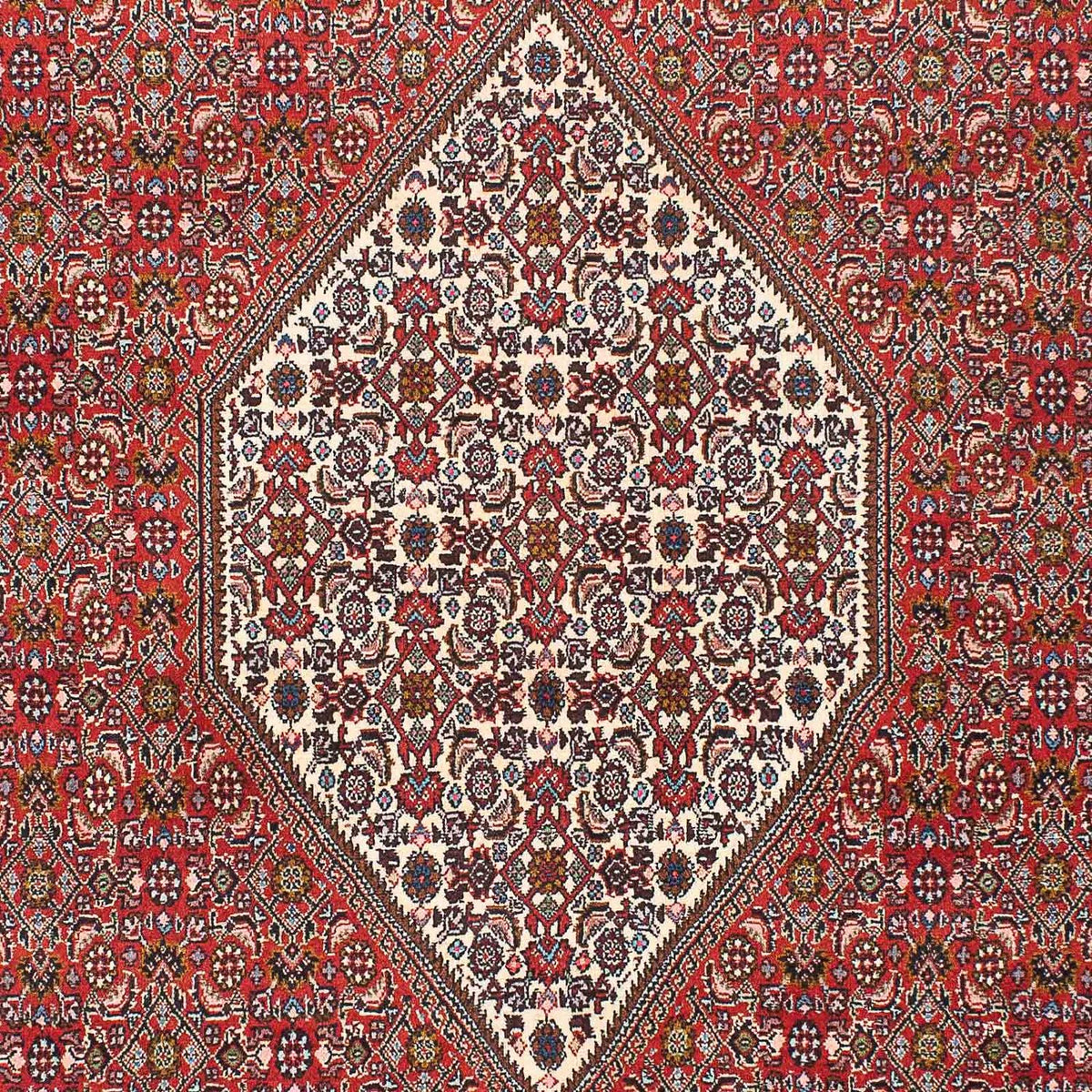 Tappeto Persero - Bidjar - 225 x 136 cm - rosso