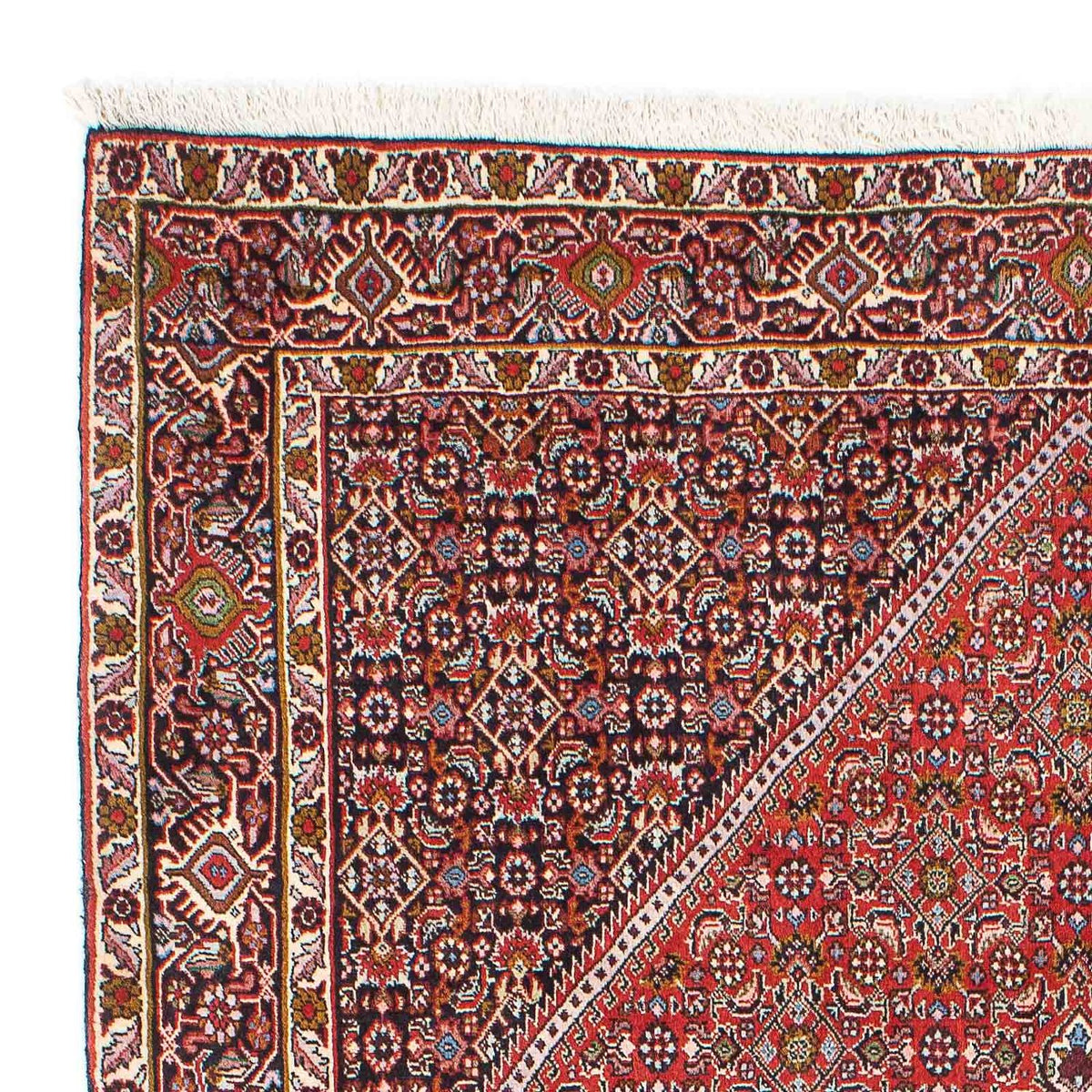 Bidjar - Zanjan Tappeto 136x225cm - Tappeto persiano
