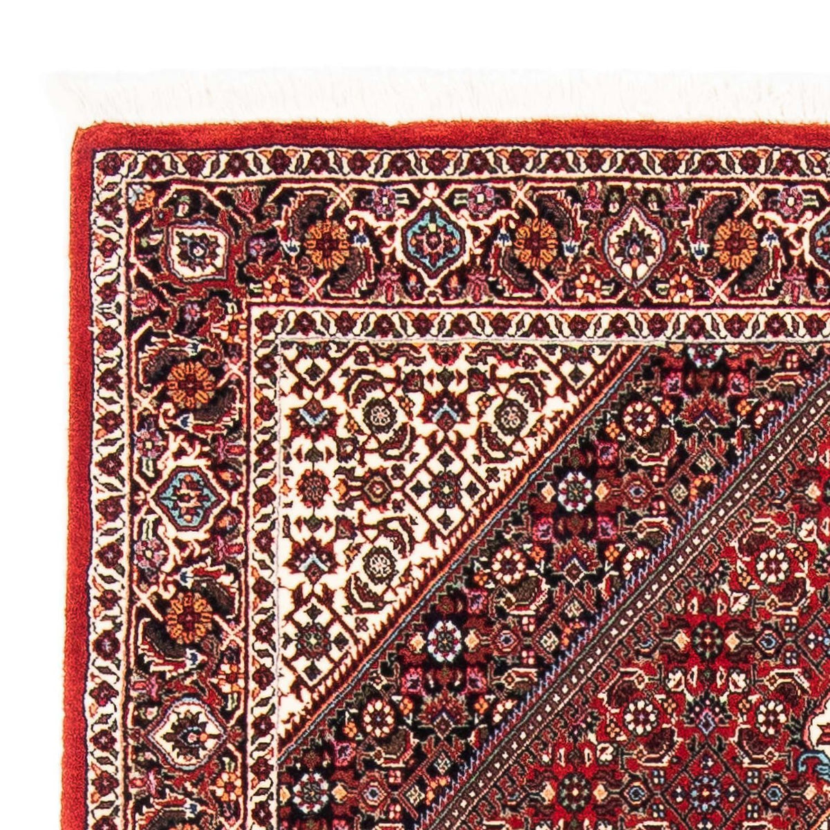 Tappeto Persero - Bidjar - 177 x 110 cm - rosso
