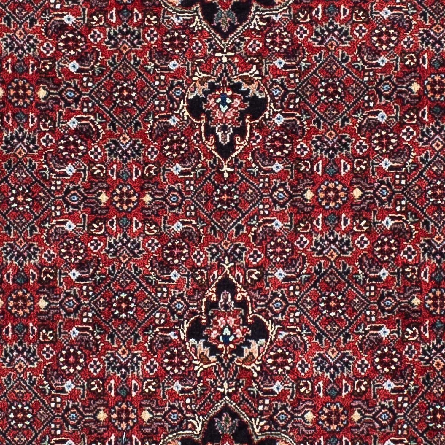 Tappeto corsia Tappeto Persero - Bidjar - 203 x 100 cm - rosso