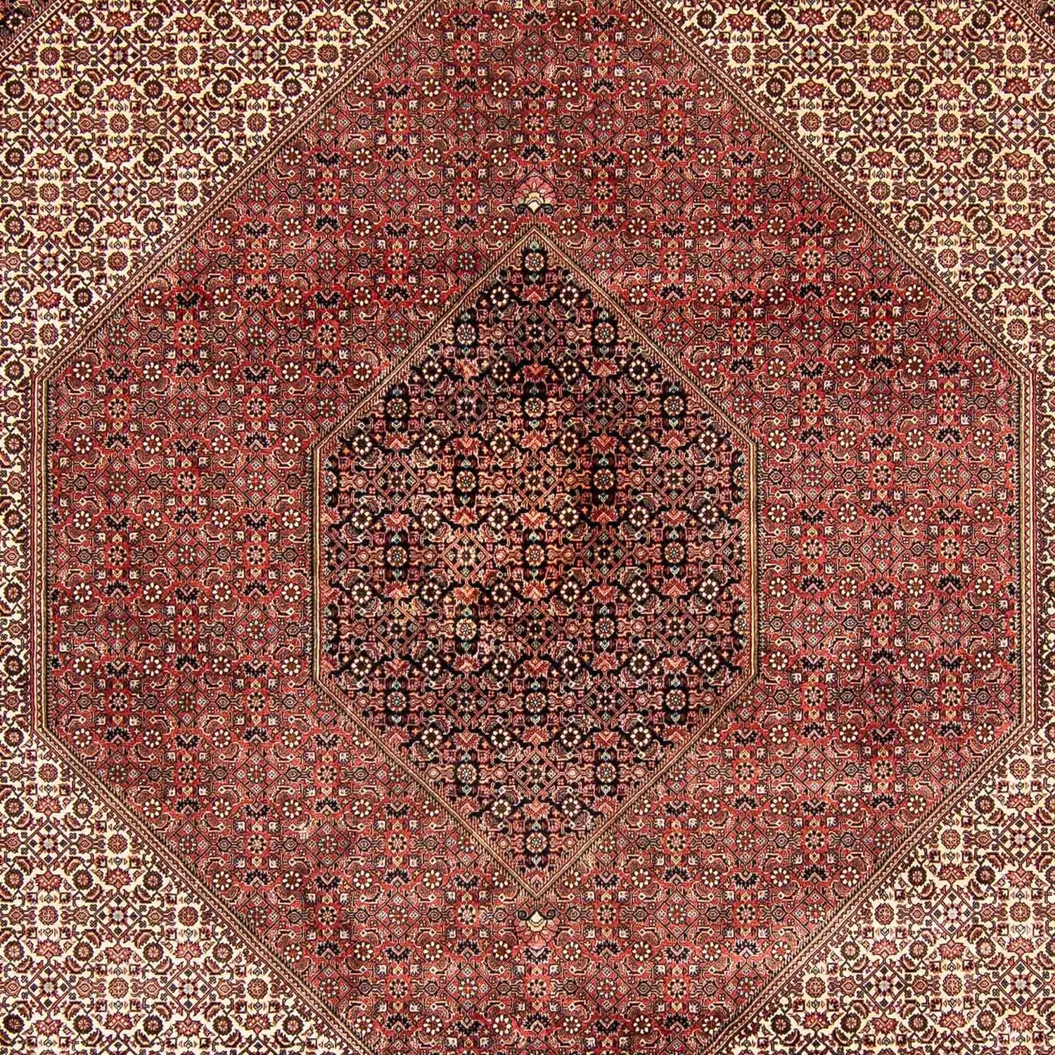 Tappeto Persero - Bidjar - 388 x 302 cm - marrone