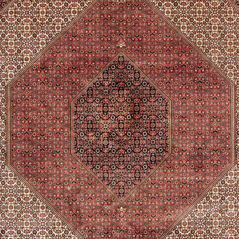 Tappeto Persero - Bidjar - 388 x 302 cm - marrone