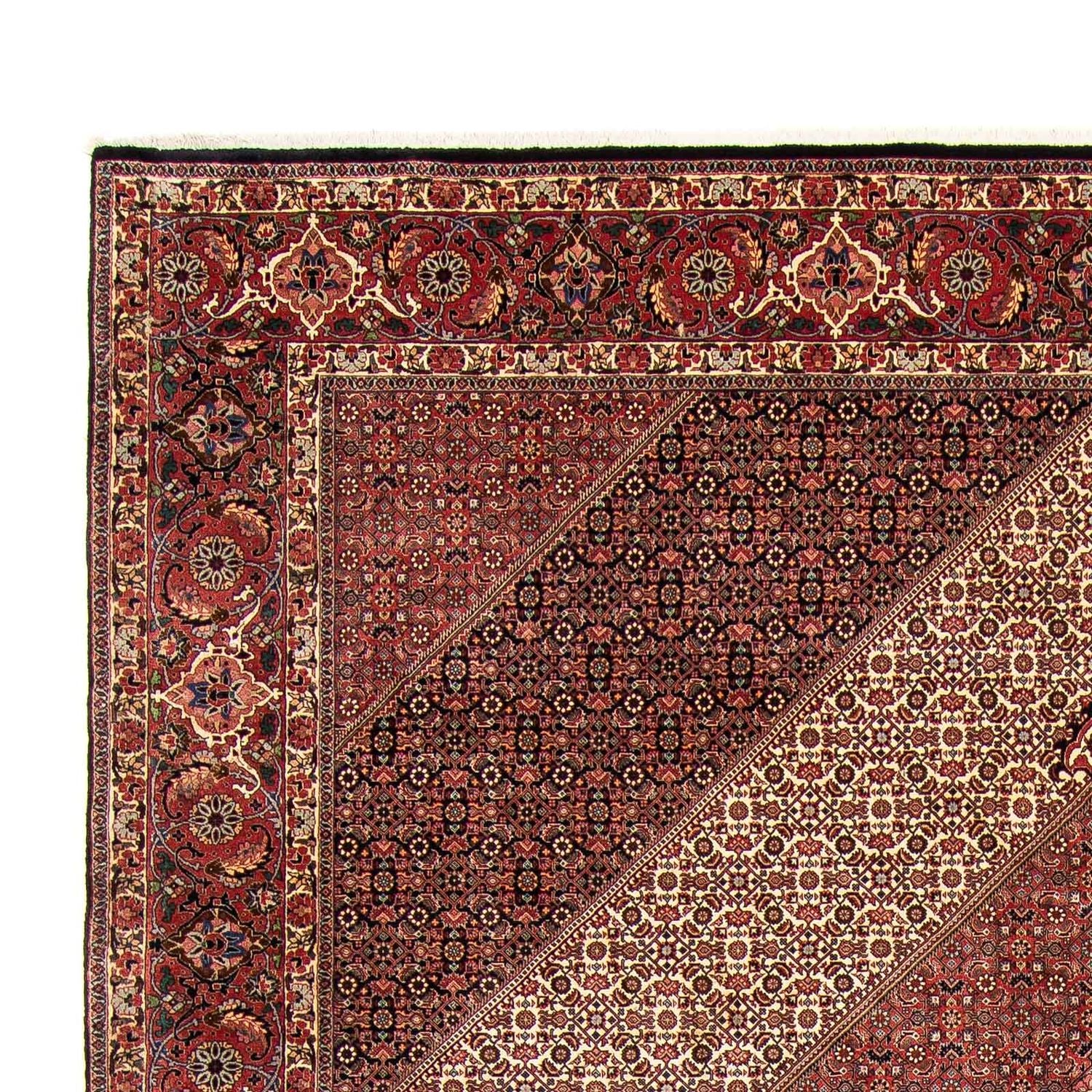 Tappeto Persero - Bidjar - 388 x 302 cm - marrone