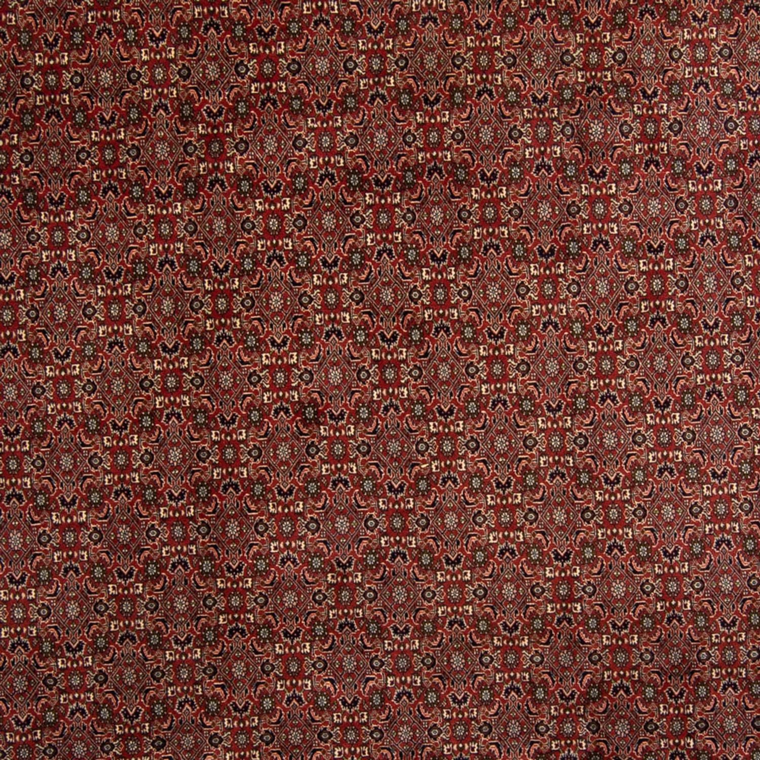 Tappeto Persero - Bidjar - 342 x 244 cm - marrone