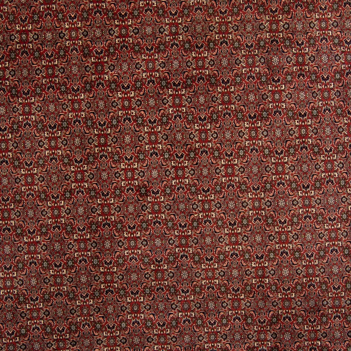Tappeto Persero - Bidjar - 342 x 244 cm - marrone