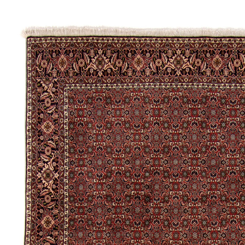 Tappeto Persero - Bidjar - 342 x 244 cm - marrone