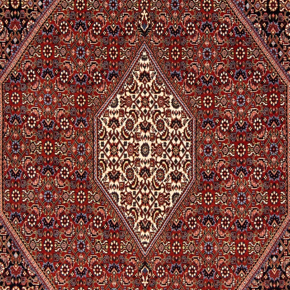 Tappeto Persero - Bidjar - 241 x 170 cm - rosso scuro