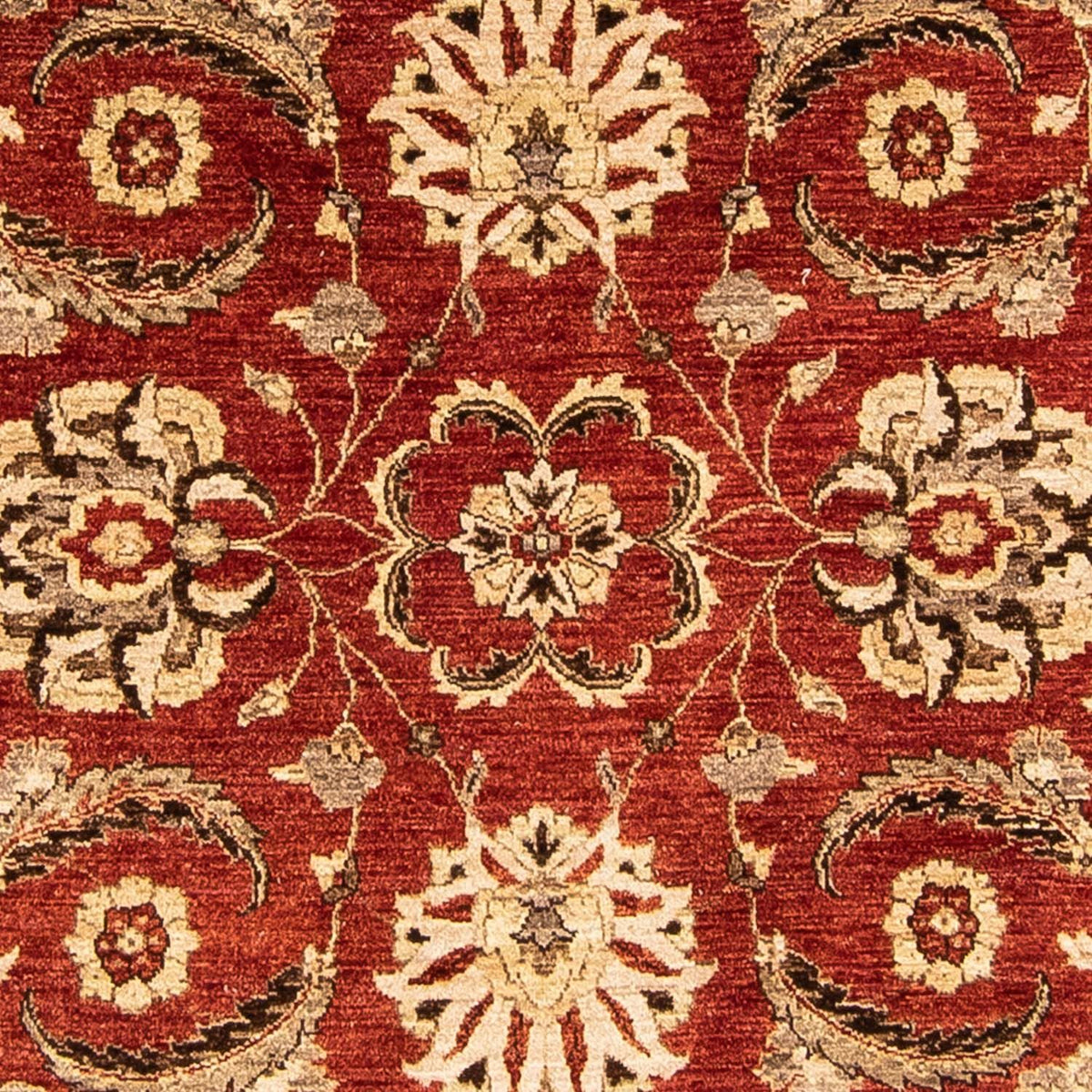 Tappeto Ziegler rotondo  - 248 x 239 cm - rosso scuro