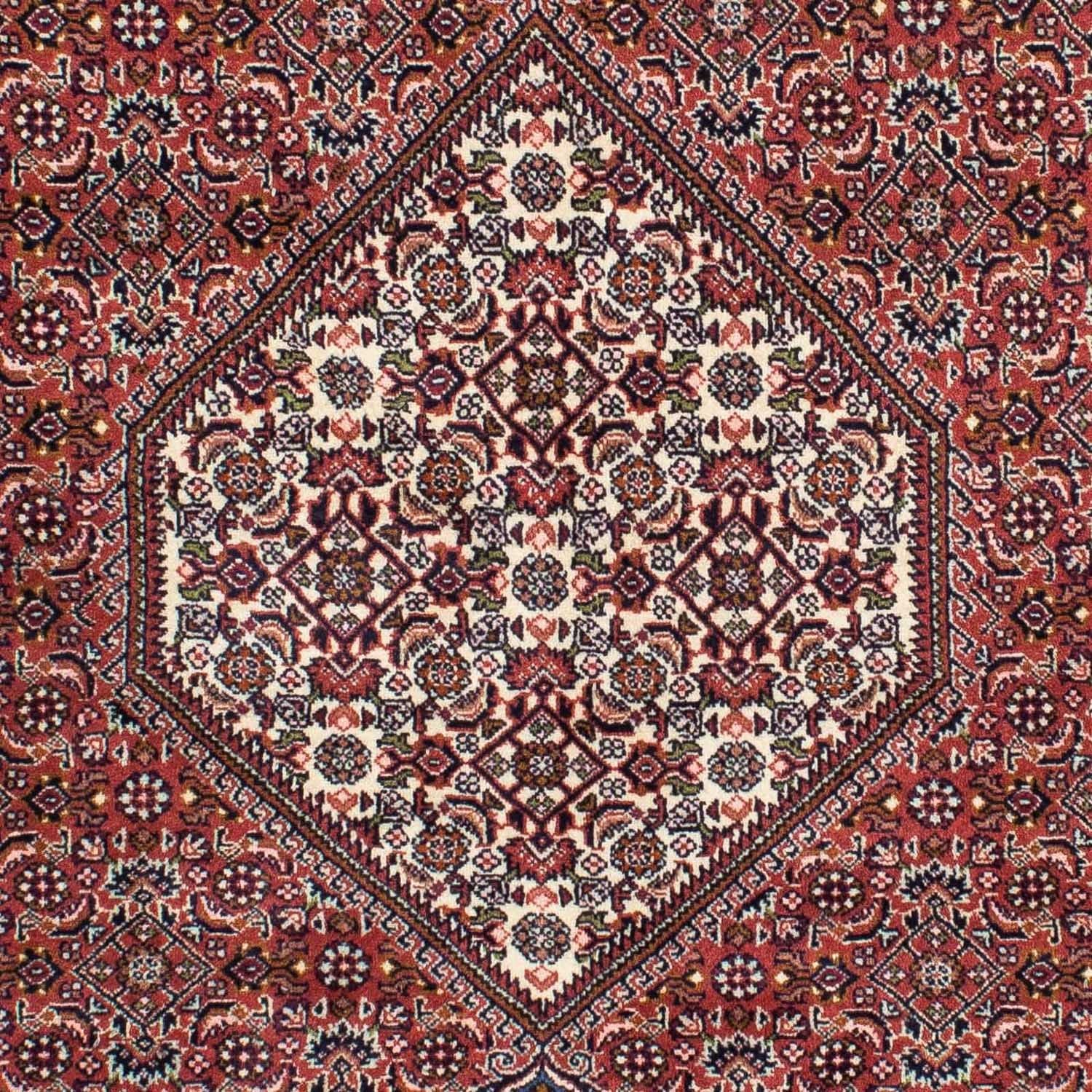 Tappeto Persero - Bidjar - 228 x 138 cm - rosso