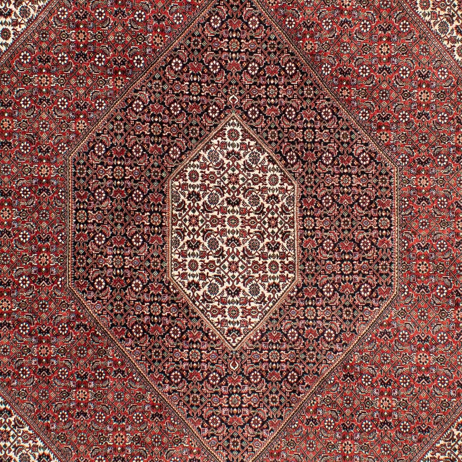 Tappeto Persero - Bidjar - 294 x 204 cm - rosso chiaro