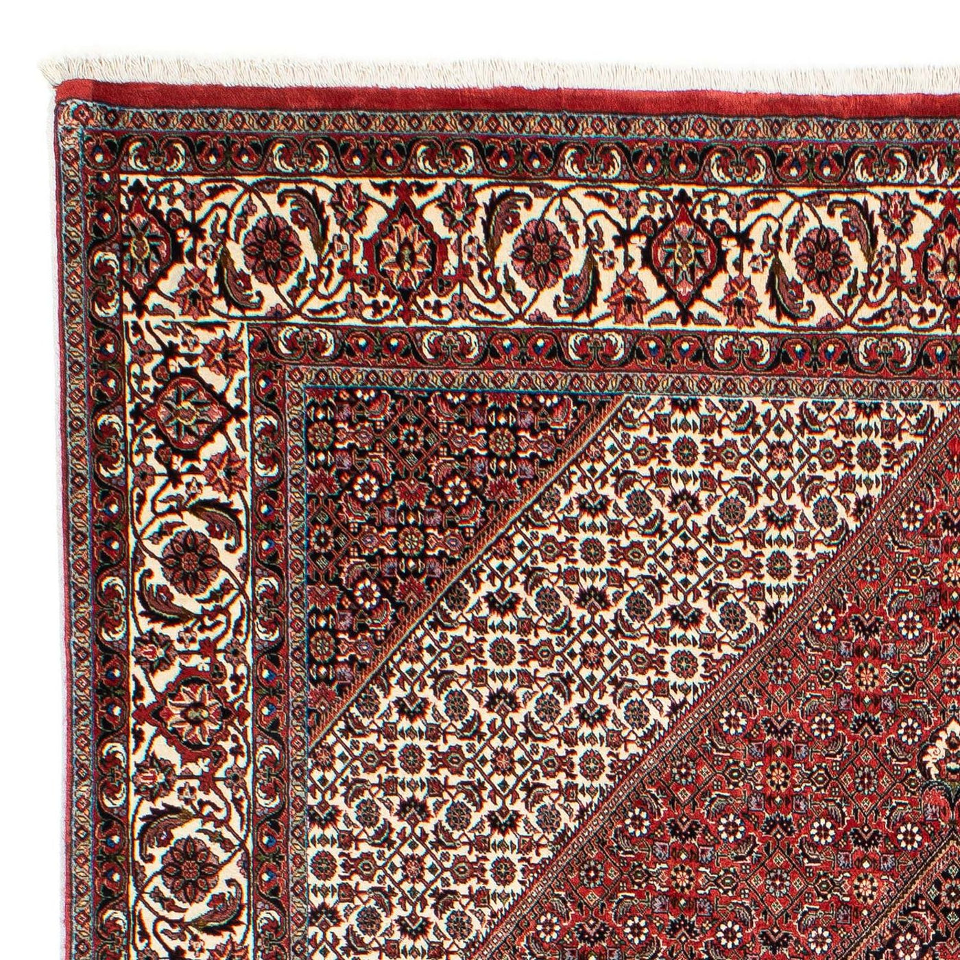Bidjar Tappeto 294x204cm - Tappeto persiano