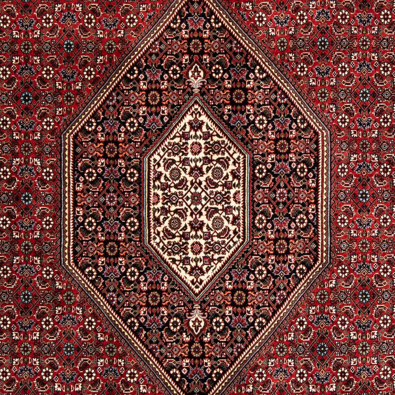 Tappeto Persero - Bidjar - 258 x 169 cm - rosso scuro