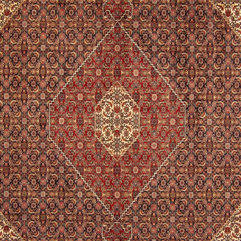 Tappeto Persero - Tabriz - 395 x 300 cm - marrone