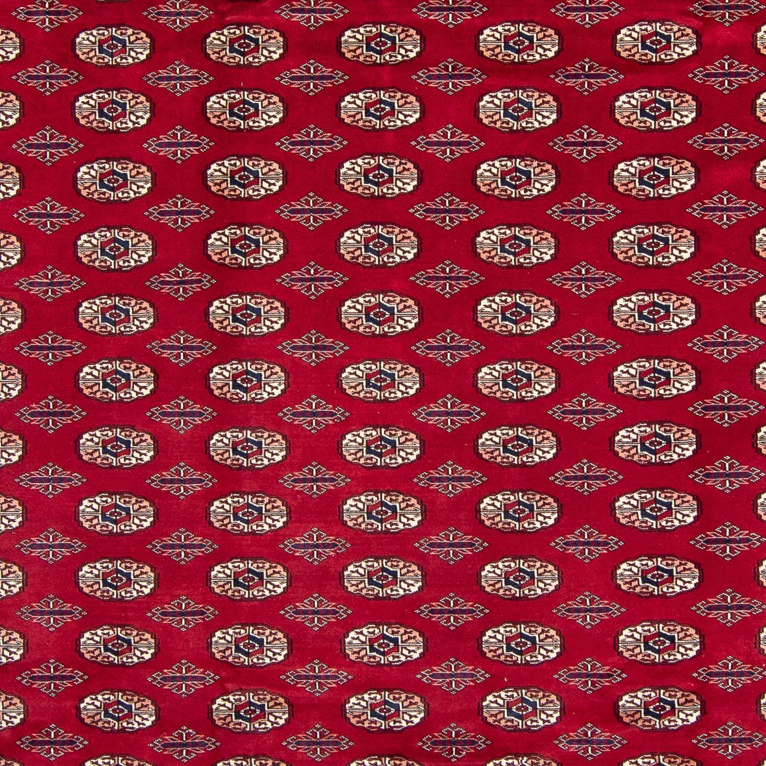 Tappeto afgano - Bukhara - 303 x 253 cm - rosso