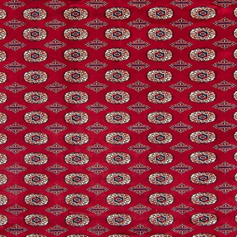 Tappeto afgano - Bukhara - 303 x 253 cm - rosso