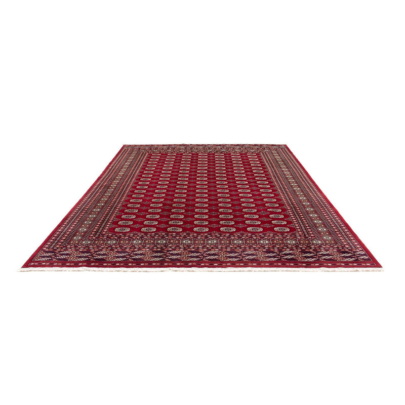 Tappeto afgano - Bukhara - 303 x 253 cm - rosso