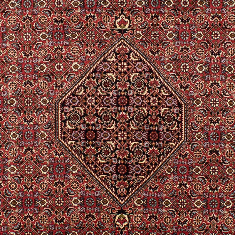 Tappeto Persero - Bidjar - 296 x 198 cm - marrone