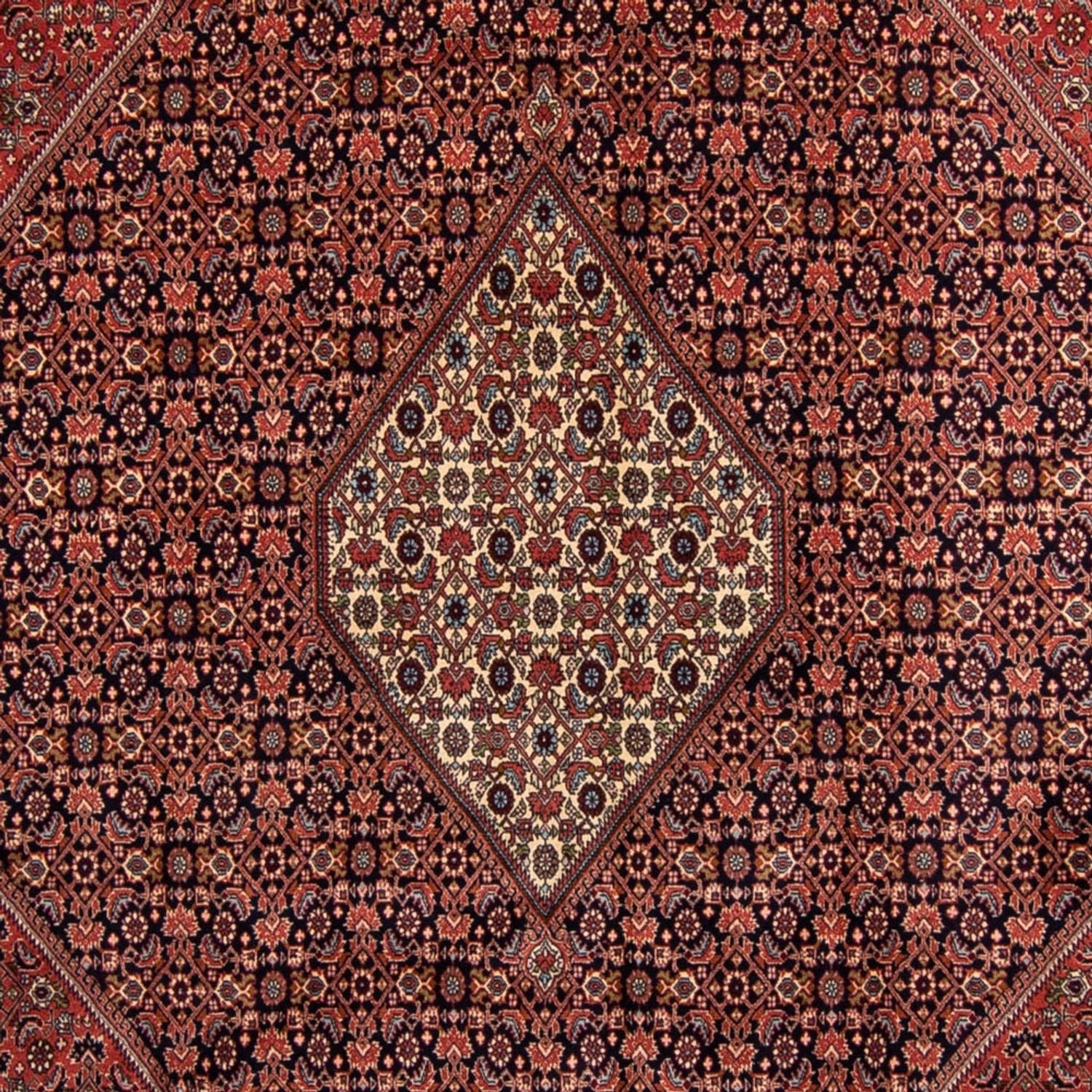 Tappeto Persero - Bidjar - 350 x 249 cm - marrone