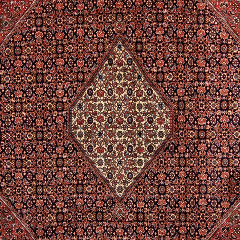 Tappeto Persero - Bidjar - 350 x 249 cm - marrone
