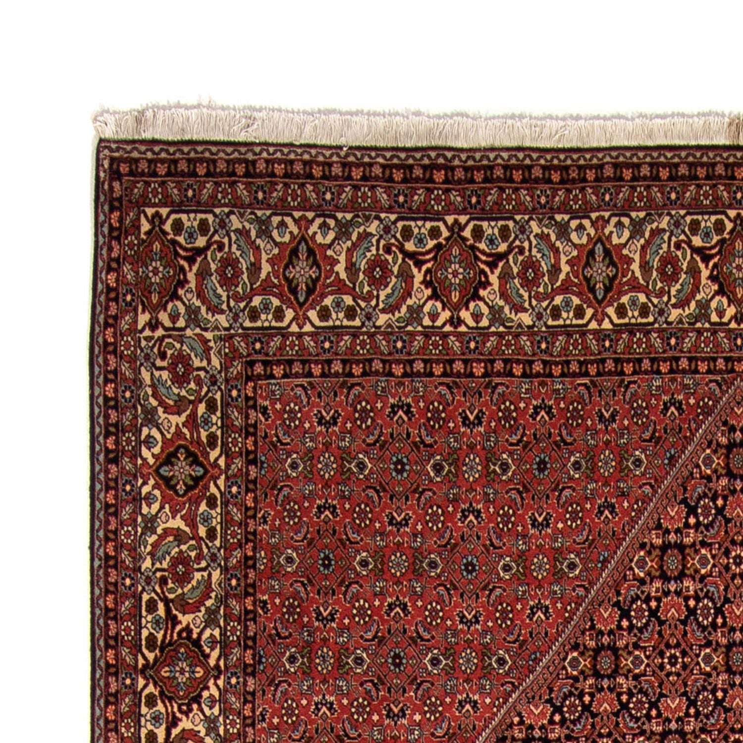 Tappeto Persero - Bidjar - 350 x 249 cm - marrone
