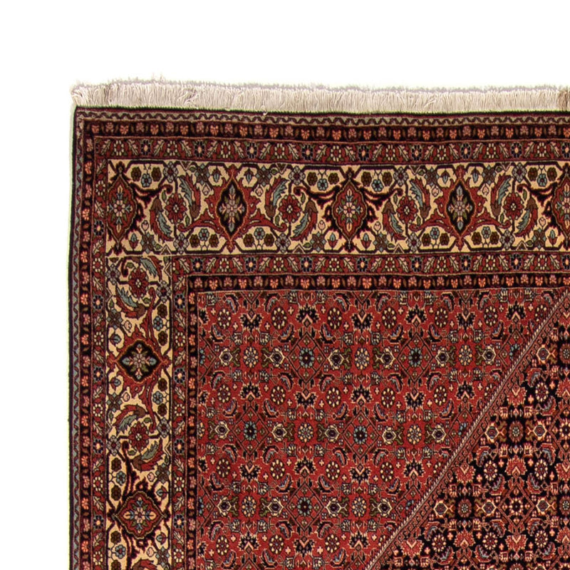 Tappeto Persero - Bidjar - 350 x 249 cm - marrone