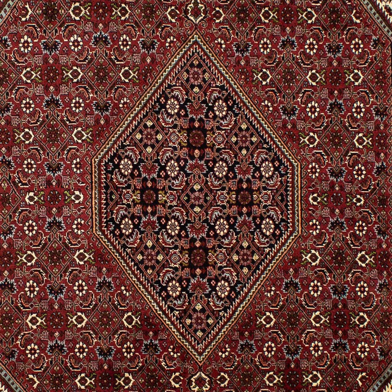 Tappeto Persero - Bidjar - 298 x 199 cm - marrone