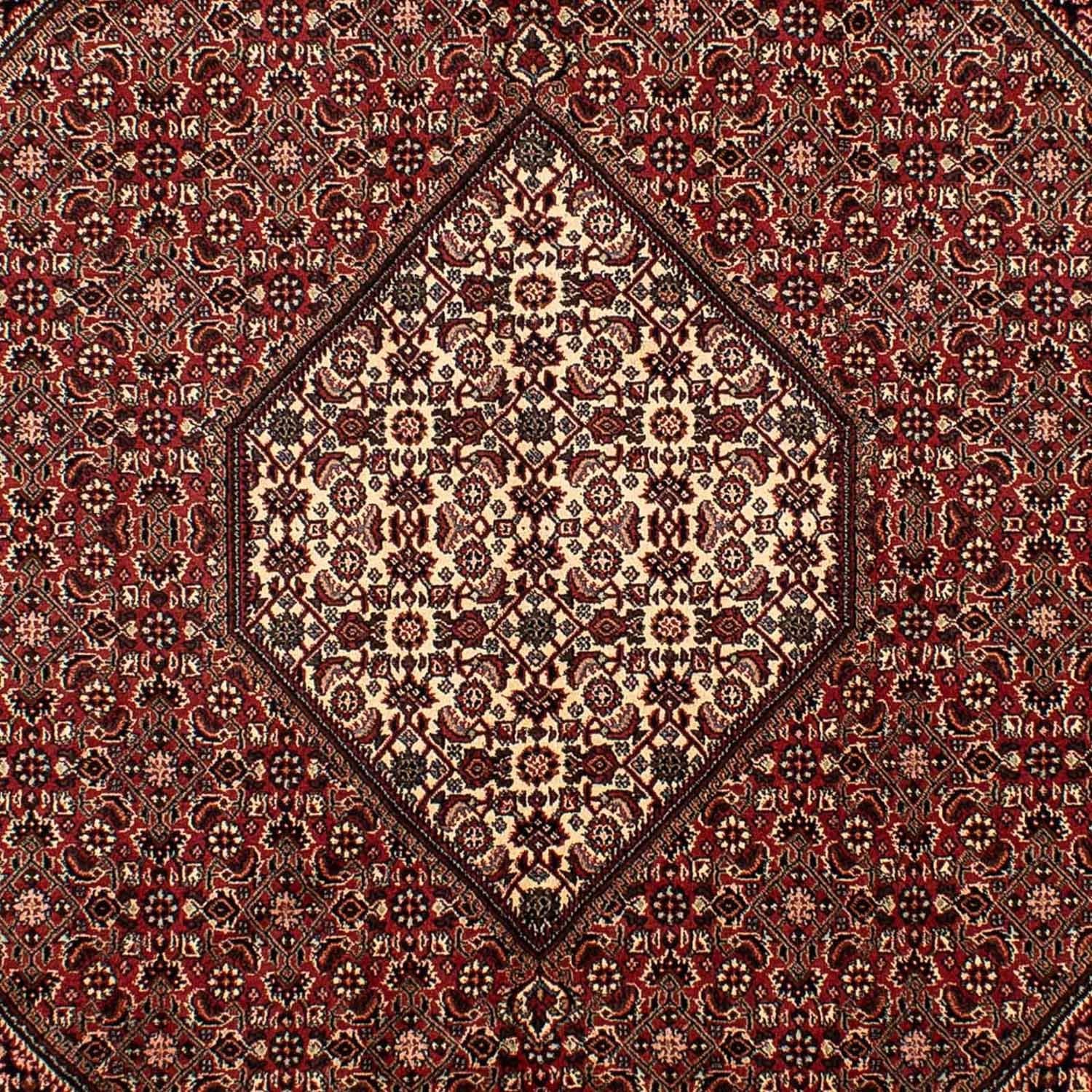 Tappeto Persero - Bidjar - 288 x 198 cm - marrone