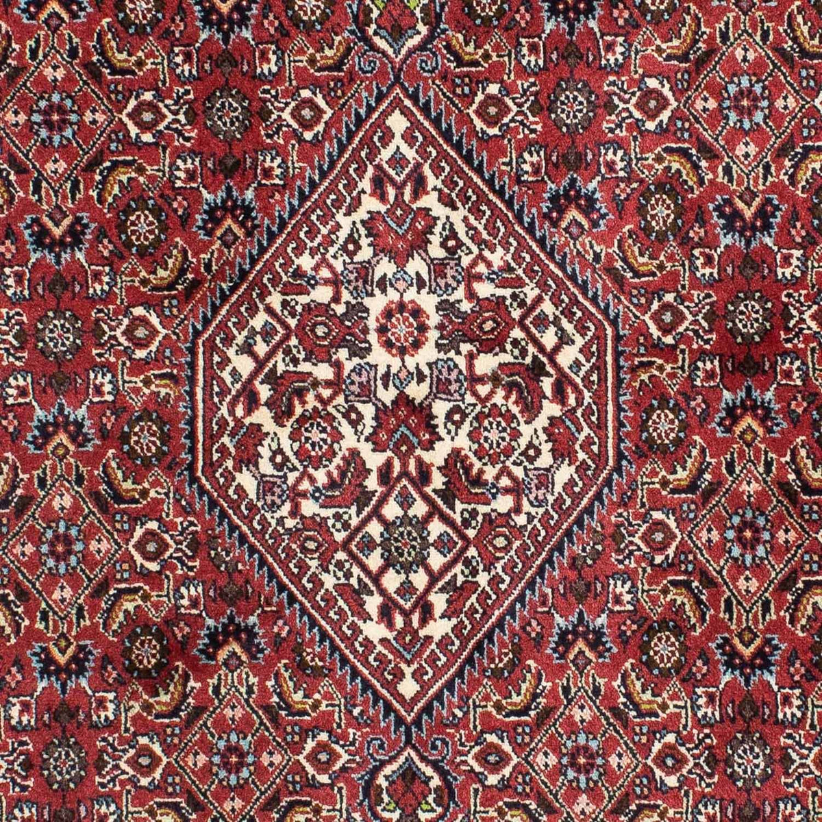 Tappeto Persero - Bidjar - 210 x 141 cm - rosso