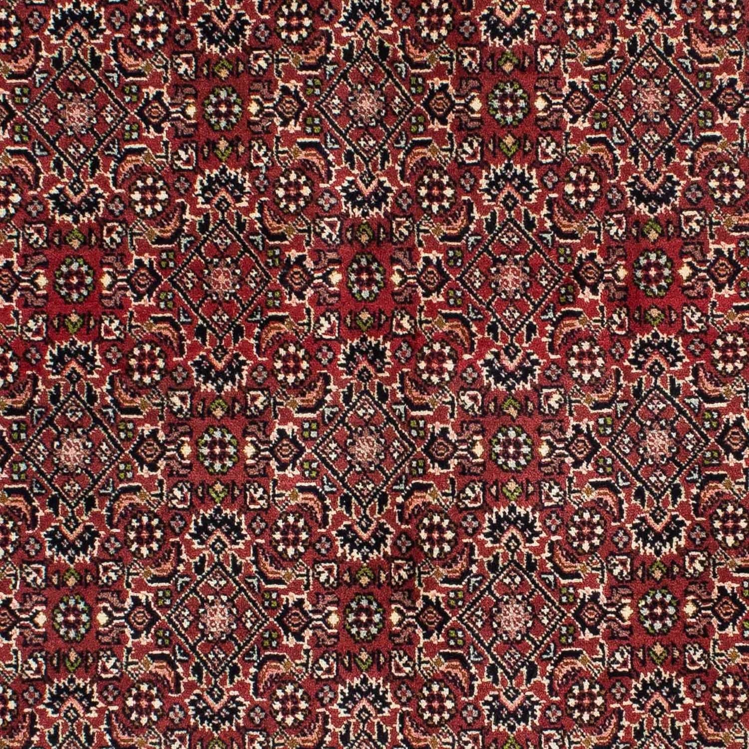 Tappeto Persero - Bidjar - 208 x 139 cm - rosso